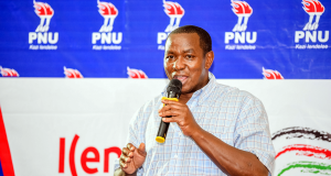 party-of-national-unity